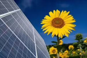 energia-fotovoltaica-painel